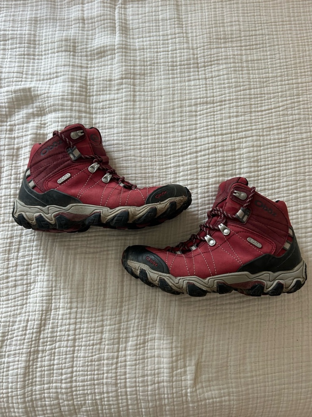 Oboz Bridger Mid Waterproof Hiking Boots - Women's